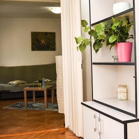Apartment Kiwi Novi Sad Bagian luar foto